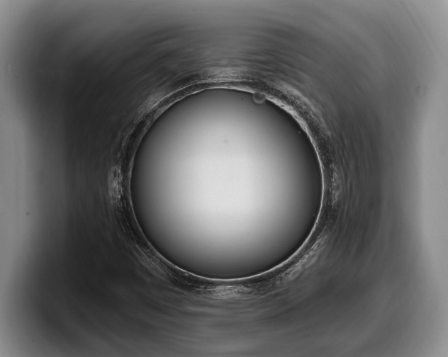X0000100321449200806051507
