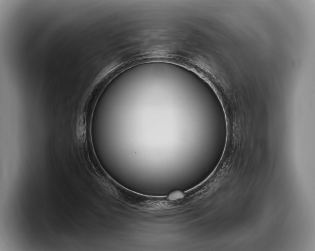 X0000100321450200806051507