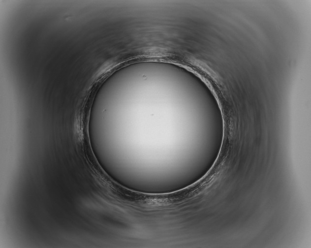 X0000100321451200806051507