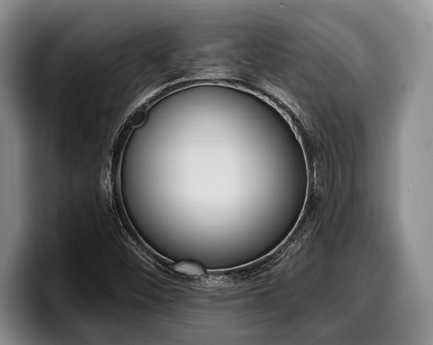 X0000100321452200806051507