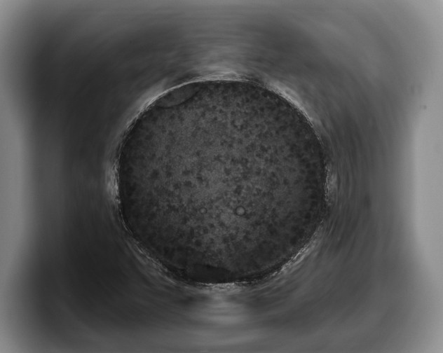 X0000100321455200806051507