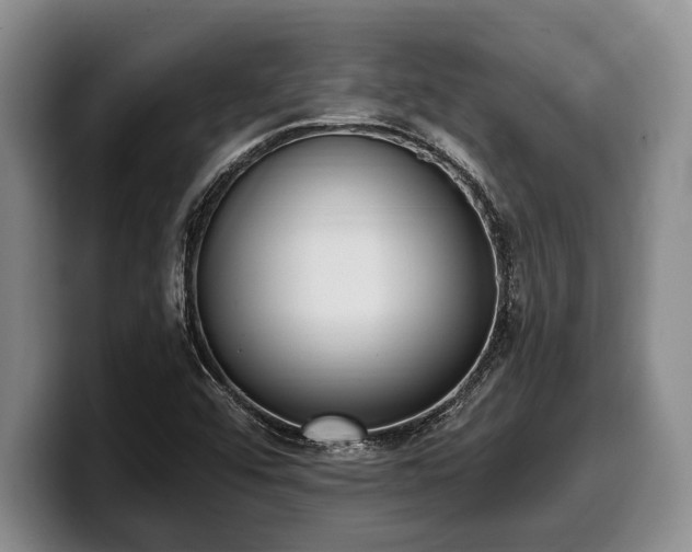 X0000100321456200806051507