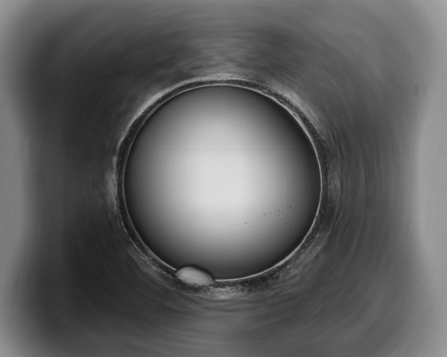 X0000100321460200806051507