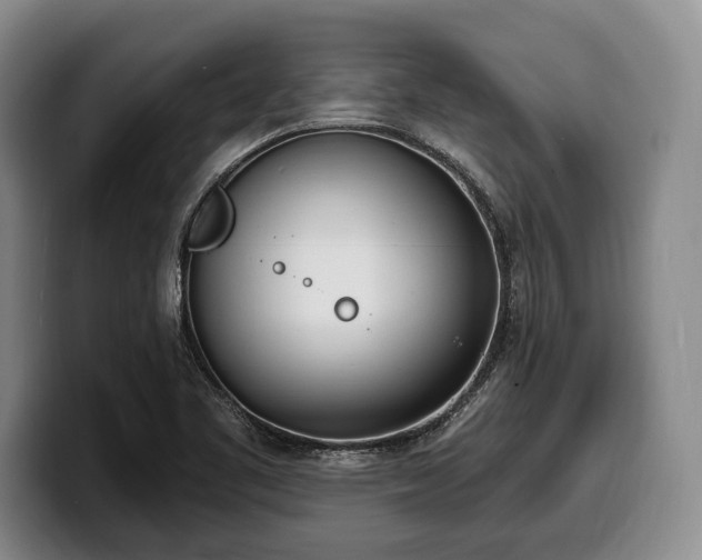 X0000100321461200806051507