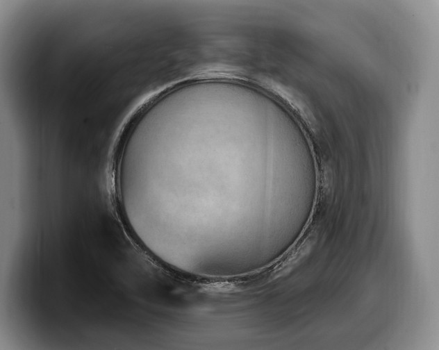 X0000100321462200806051507