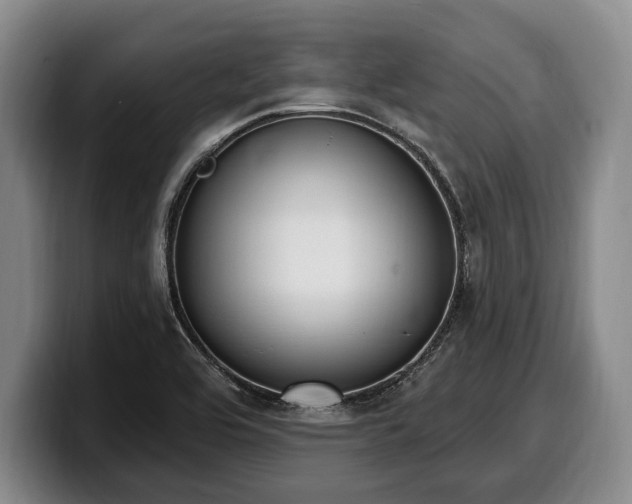 X0000100321464200806051507