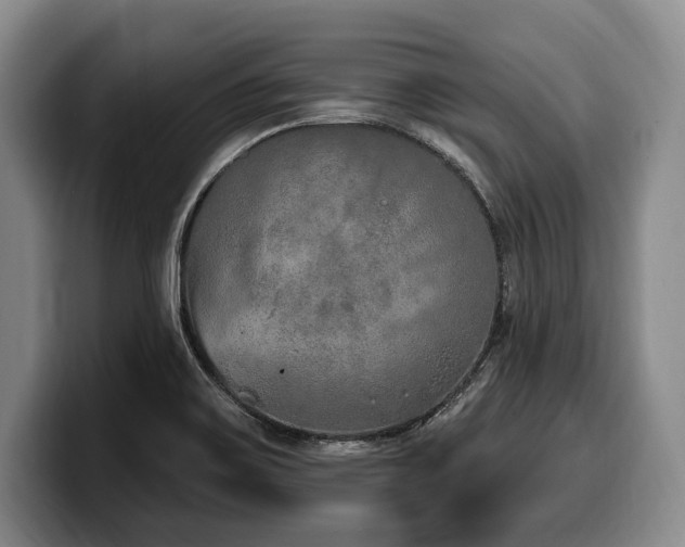 X0000100321467200806051506