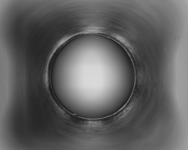 X0000100321469200806051506