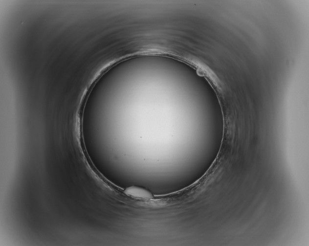 X0000100321476200806051506