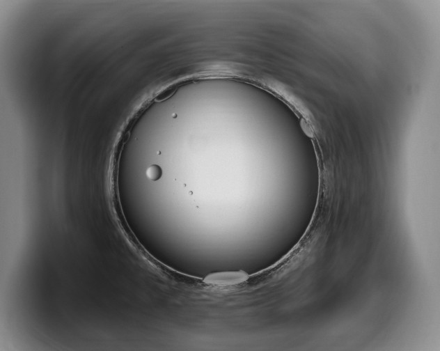 X0000100321477200806051506