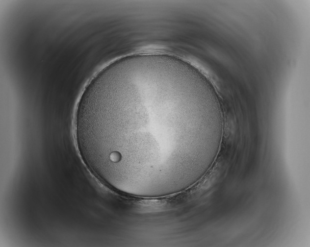 X0000100321478200806051506