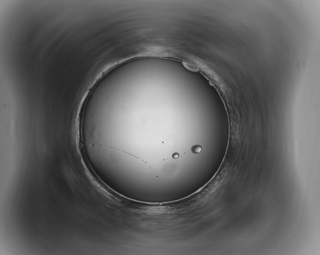 X0000100321479200806051506
