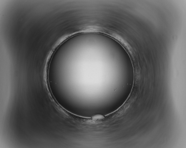 X0000100321480200806051506