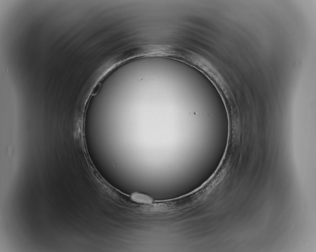 X0000100321481200806051506