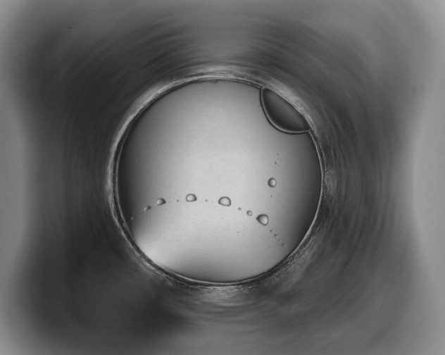 X0000100321482200806051506