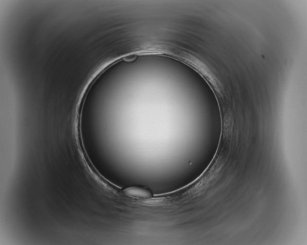 X0000100321484200806051506