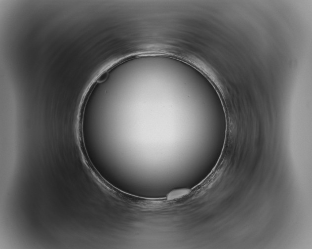 X0000100321485200806051506