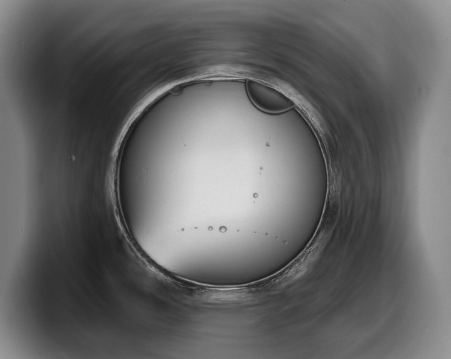X0000100321486200806051506