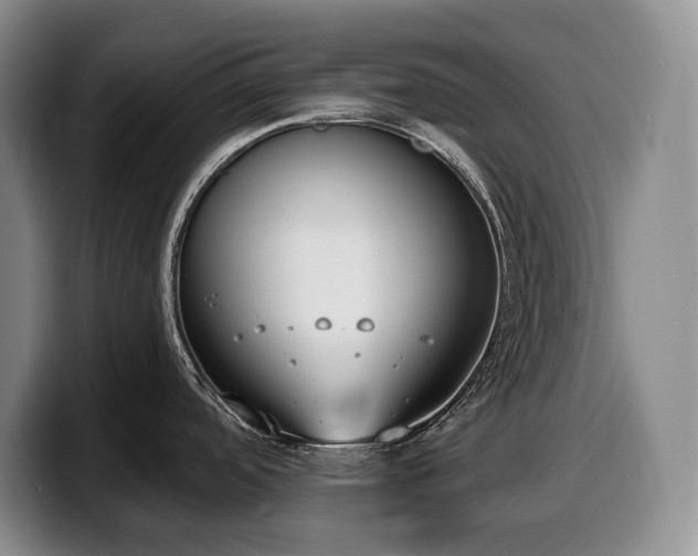 X0000100321488200806051506