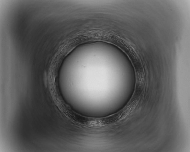 X0000100321489200806051506