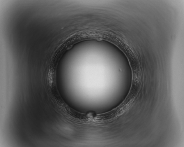 X0000100321490200806051506