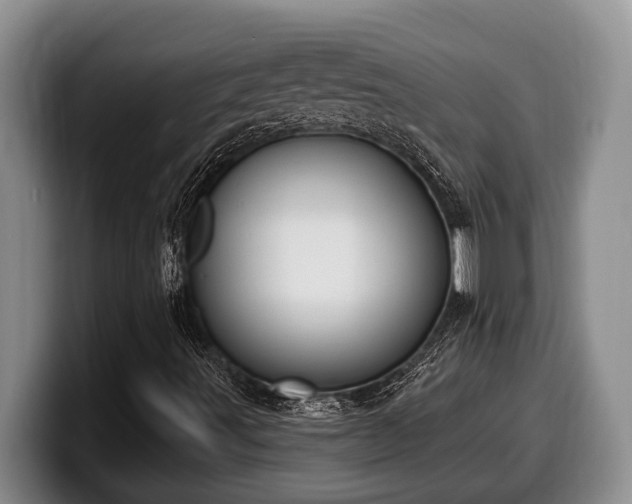 X0000100321491200806051506