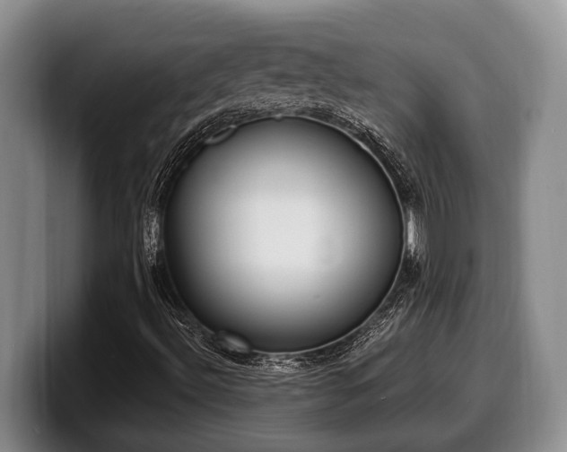 X0000100321492200806051506