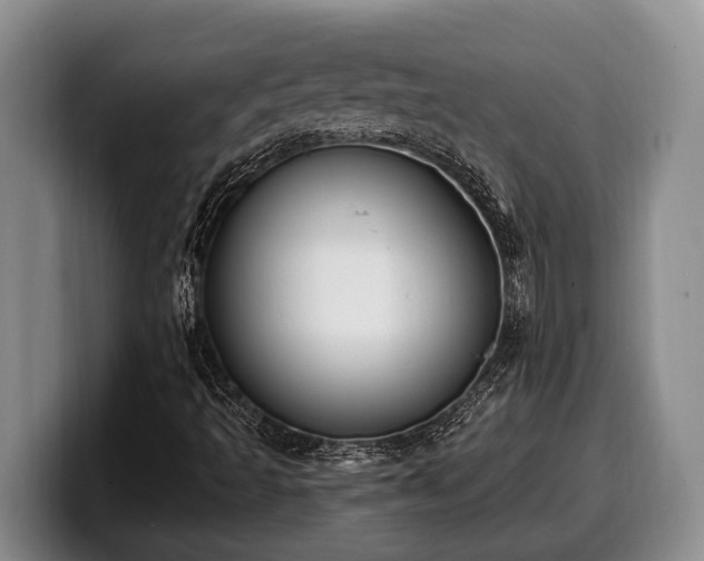 X0000100321493200806051506
