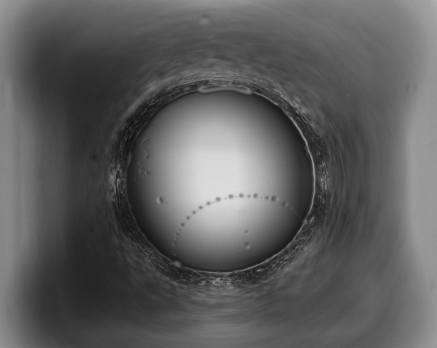 X0000100321495200806051506