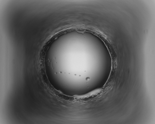 X0000100321496200806051506