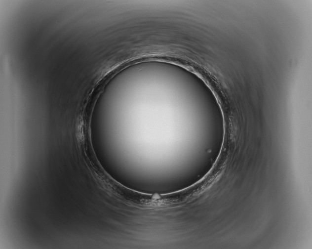 X0000100321497200806051506