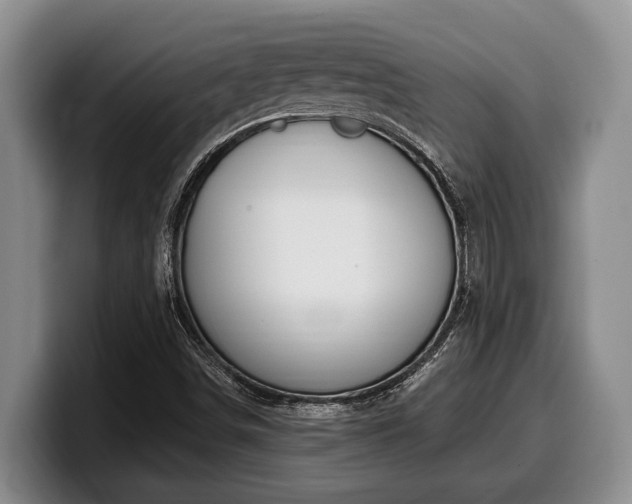 X0000100321498200806051506