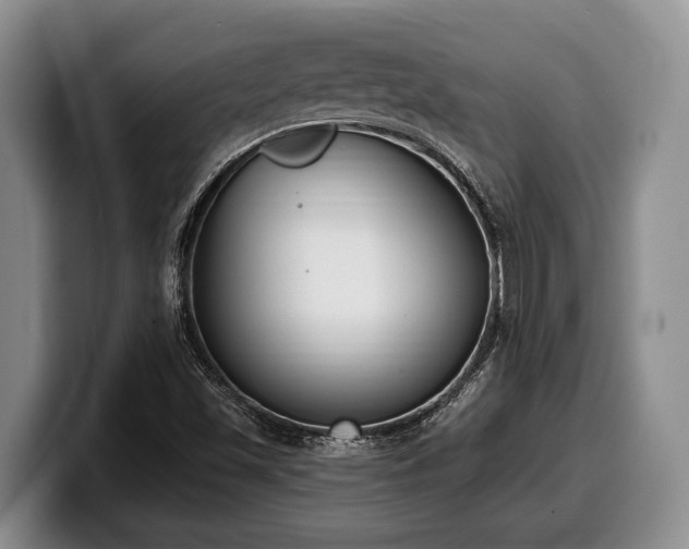 X0000100321501200806051506