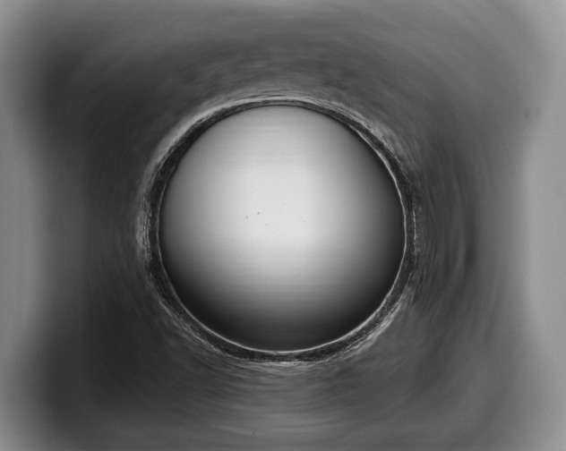 X0000100321502200806051506