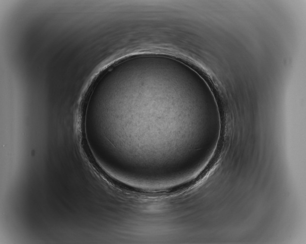 X0000100321506200806051506