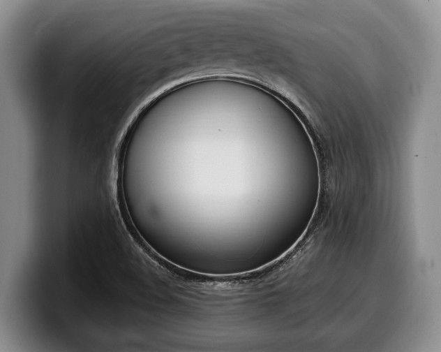 X0000100321508200806051506