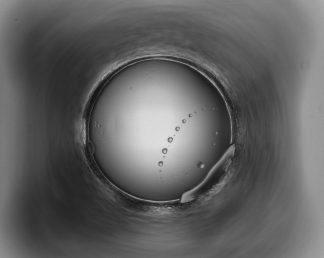X0000100321509200806051506