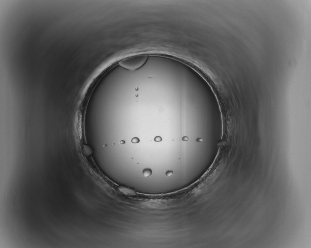 X0000100321510200806051506