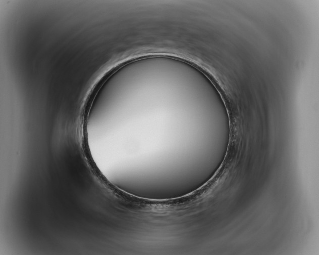 X0000100321511200806051506