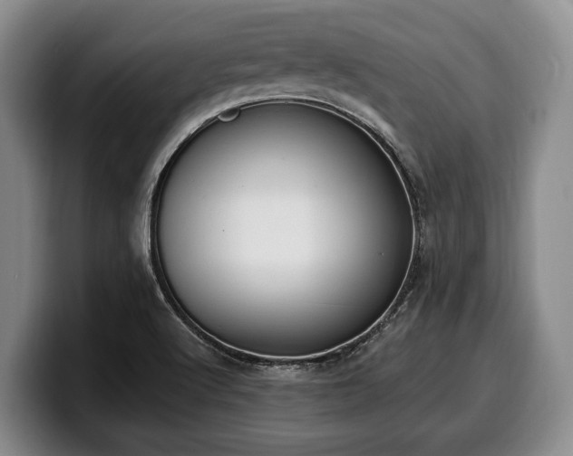 X0000100321512200806051506