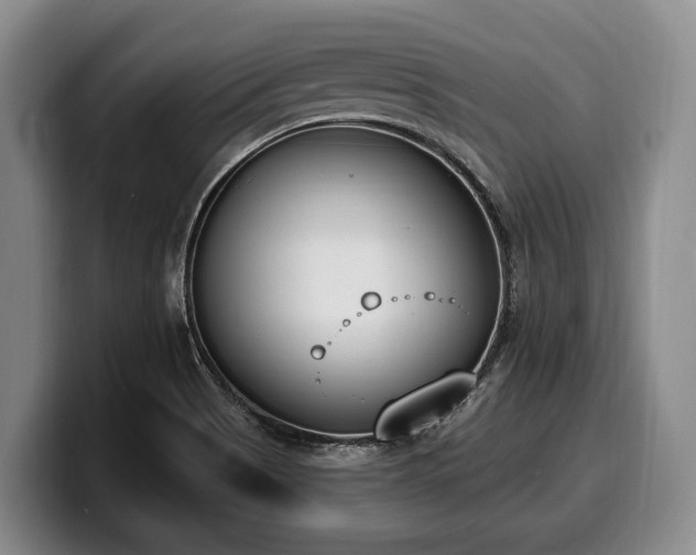 X0000100321513200806051506