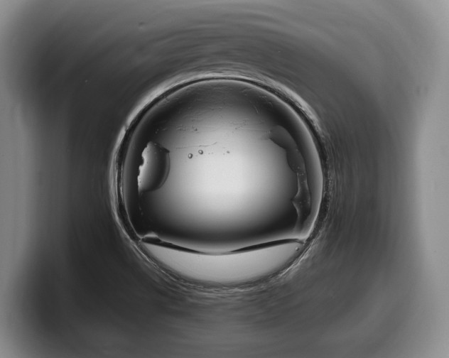 X0000100321514200806051506
