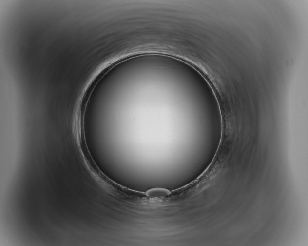 X0000100321515200806051506