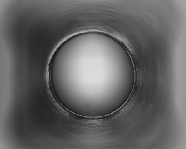 X0000100321516200806051506