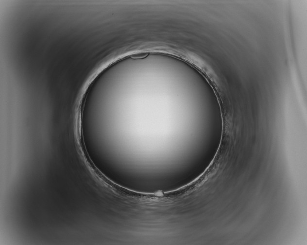 X0000100321520200806051506