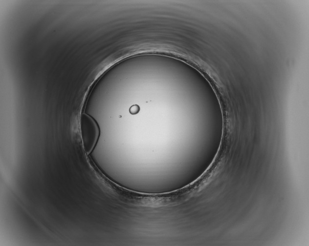 X0000100321521200806051506