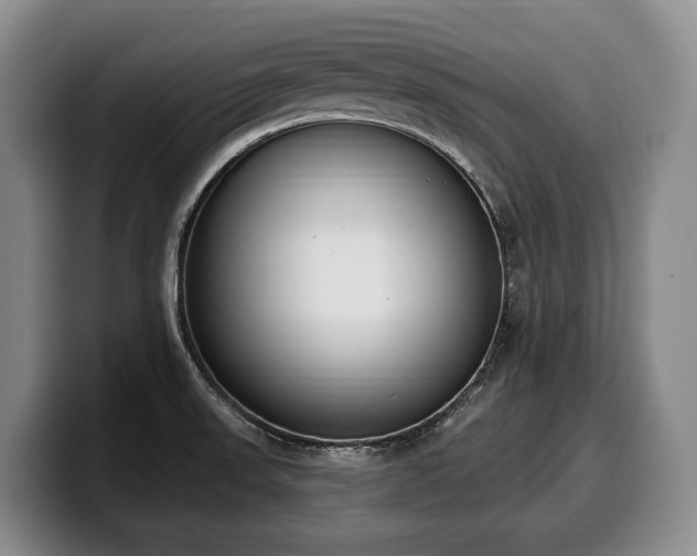 X0000100321523200806051506