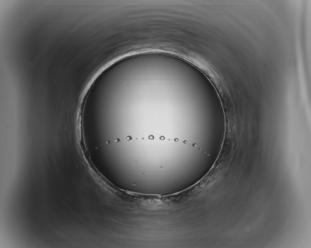 X0000100321524200806051506