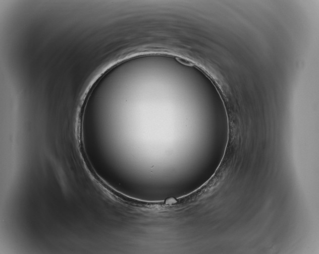 X0000100321527200806051506