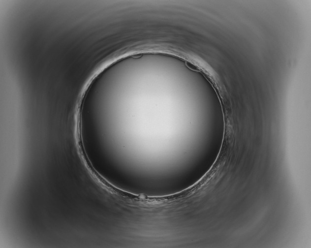 X0000100321528200806051506
